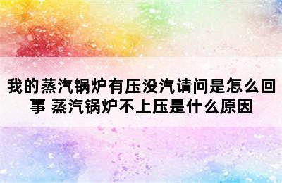 我的蒸汽锅炉有压没汽请问是怎么回事 蒸汽锅炉不上压是什么原因